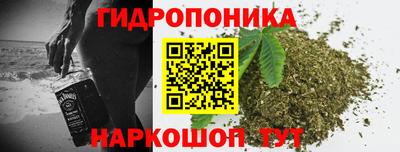 шишки Малгобек
