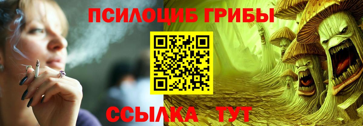 Владимир  Псилоцибиновые грибы Psilocybe  Вход с VPN 