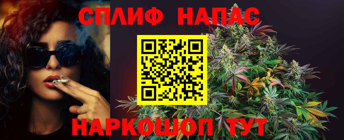 Марихуана гибрид Владимир